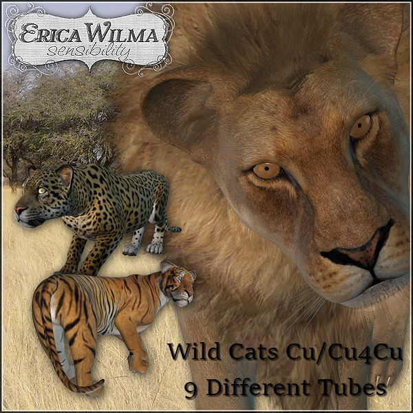 EW Wild Cats CU - Click Image to Close